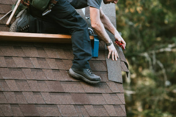 Roof Gutter Cleaning in Swansboro, NC